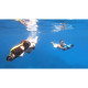 ROBOSEA PROPULSEUR AQUATIQUE SEAFLYER 2 PRO